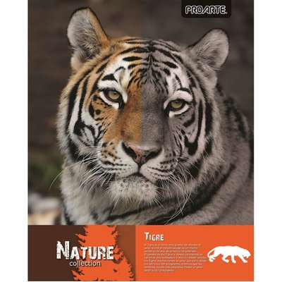 PROARTE - Cuaderno Universitario Ted/ Ed Nature 100 Hojas 7 mm Surtido - UN