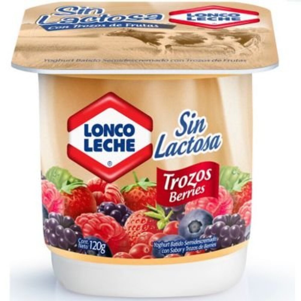 Yoghurt Griego Quillayes sin lactosa berries 110 g